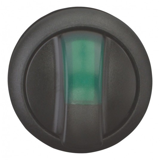 M22S-WRLK-G Przełącznik podświetlany 2 poł -zdjęcie numer 1