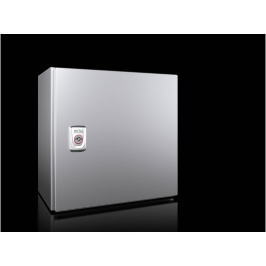 R.AE SZAFA STER. V2A SZAFA 300X300X210 -zdjęcie numer 1