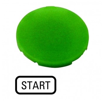 M22-XD-G-GB1 Wkładka przycisku, płaska zie