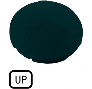 M22-XD-S-GB3 Wkładka przycisku, płaska cza