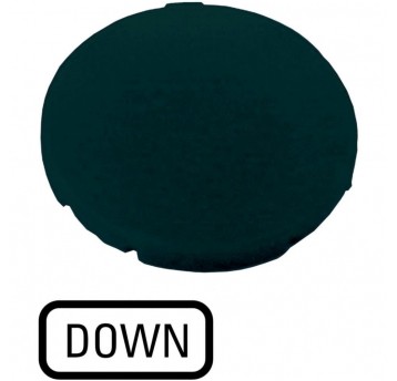 M22-XD-S-GB4 Wkładka przycisku, płaska cza