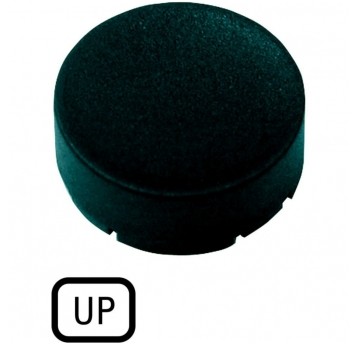 M22-XDH-S-GB3 Wkładka przycisku, wystająca c