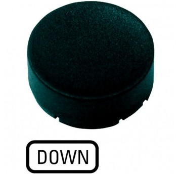 M22-XDH-S-GB4 Wkładka przycisku, wystająca c