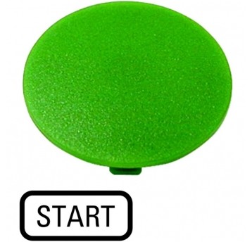 M22-XDP-G-GB1 Wkładka przycisku grzybkowego