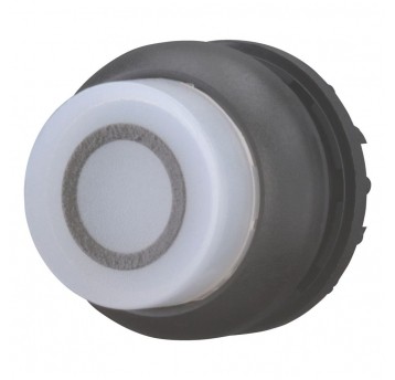 M22S-DLH-W-X0 Napęd przycisku podśw.z samopo