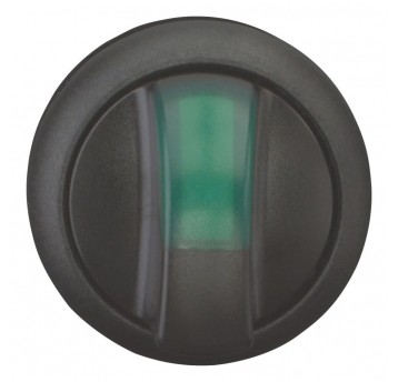 M22S-WLK-G Przełącznik podświetlany 2 poł