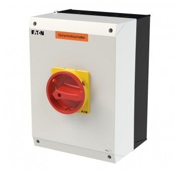 P3-100/I5-SI Rozłącznik bezpieczeństwa (łąc